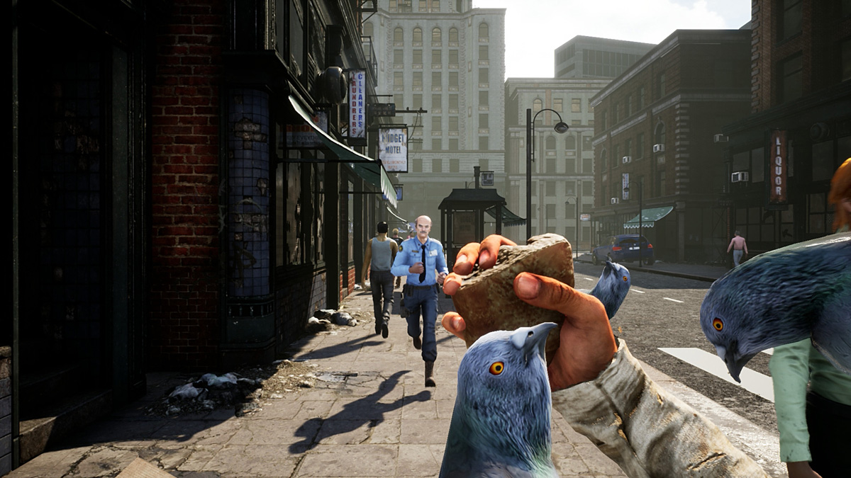 ruka s houskou krmící holuby, pohled na americkou ulici