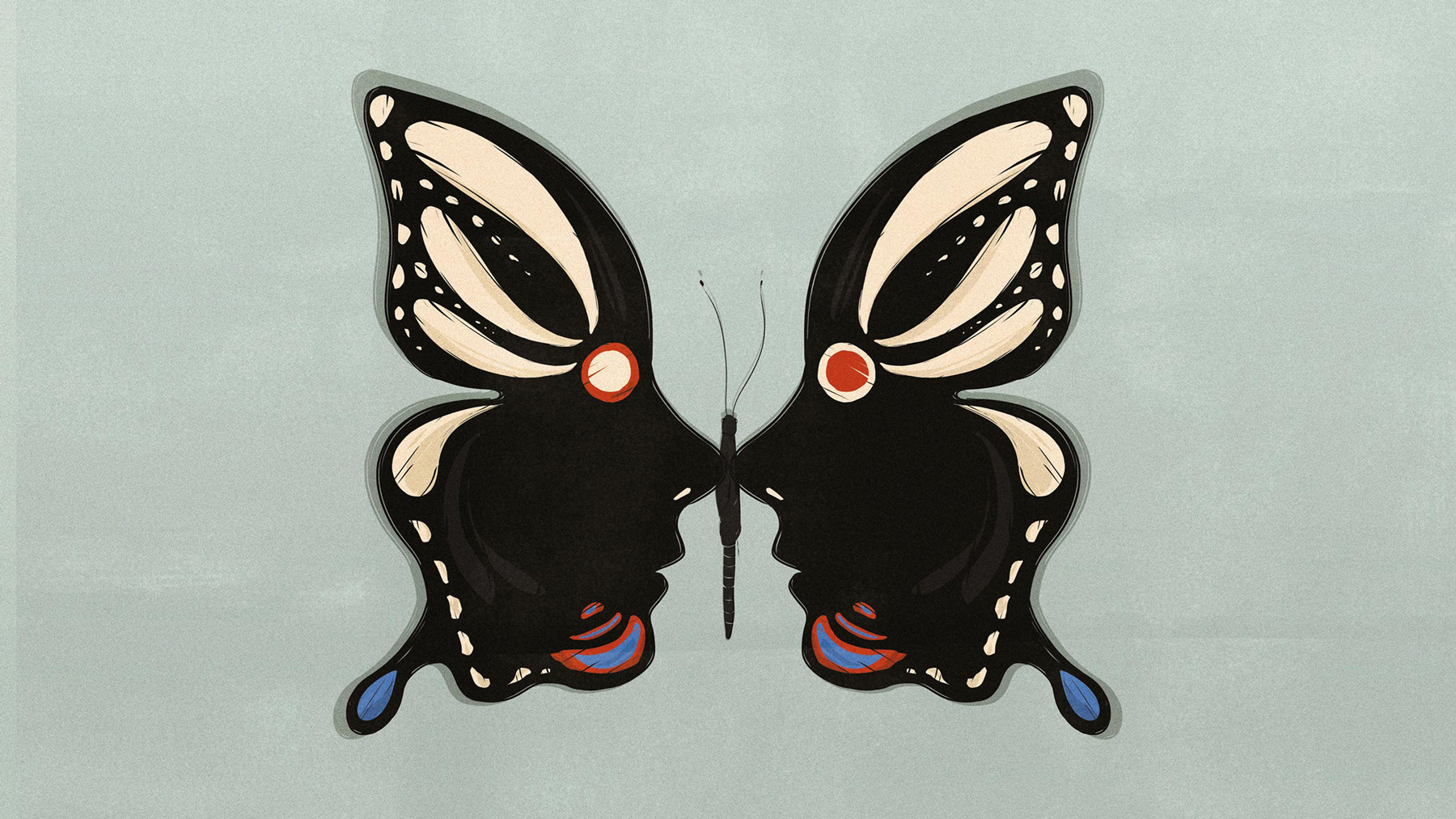 motýl - ilustrace