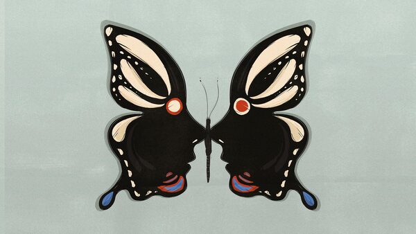 motýl - ilustrace