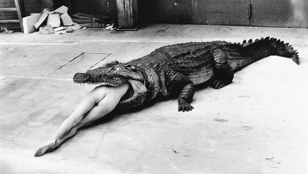 Helmut Newton: Krokodýl.
