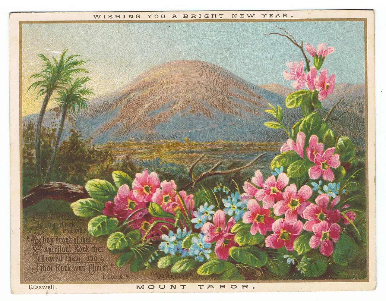pohlednice s vyobrazením hory