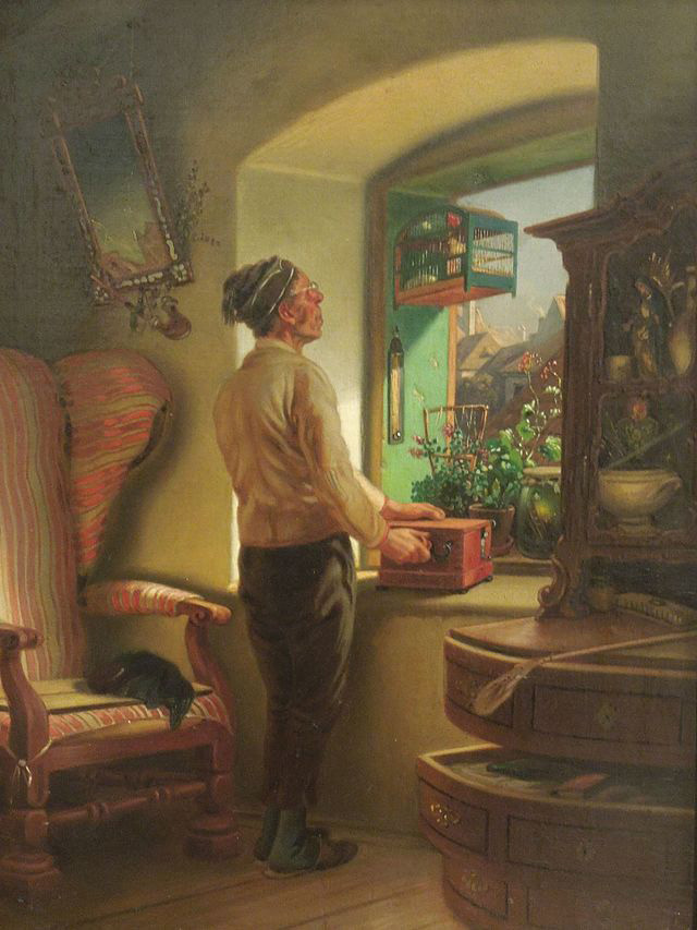 muž v brýlích a čapce hledí z okna pokoje ven, na okně květiny