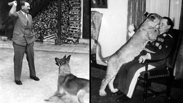 Vlevo: Hitler a jeho pes Blondi v rezidenci v Berchtesgadenu, rok 1935. Vpravo: Hermann Göring laškuje se lvem jménem Mucki