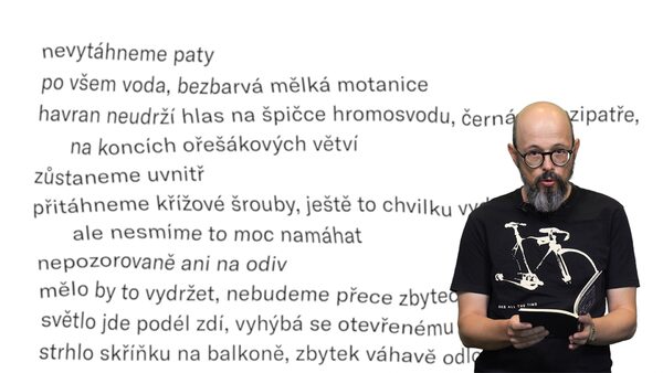 Básník Petr Čermáček