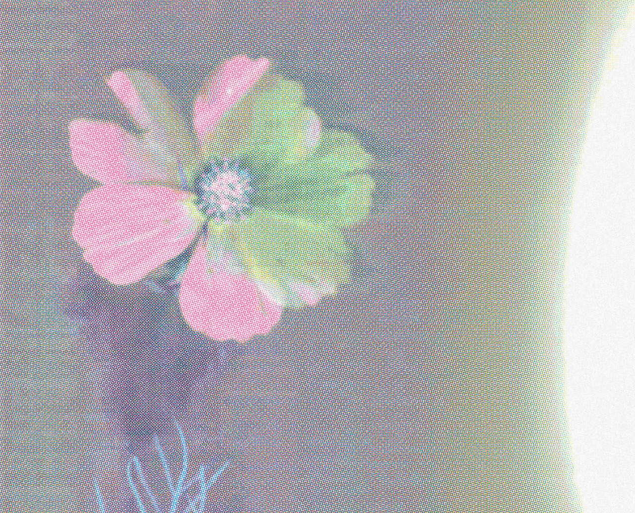 Vizuál desky Všelijake kvety dívčího sboru Lada