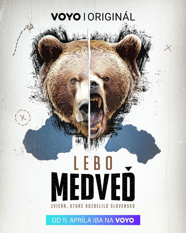 Plakát k filmu Medvěd