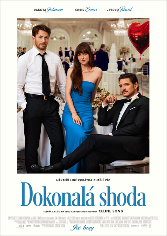 Plakát k filmu Dokonalá shoda
