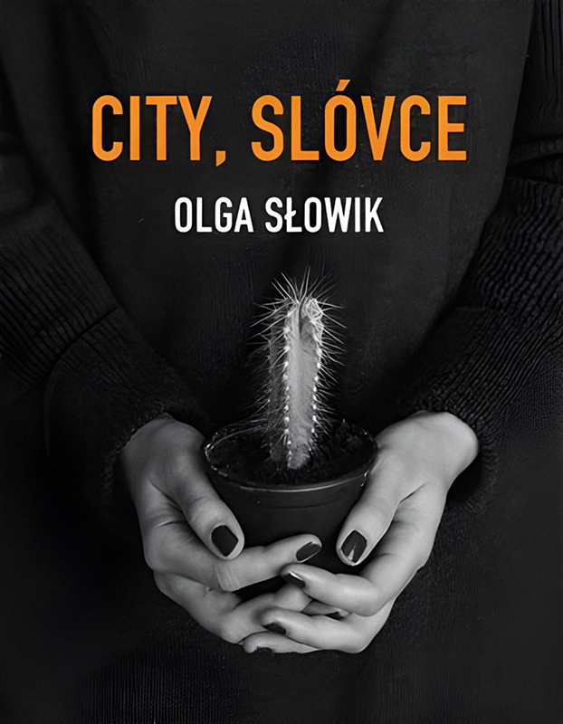 Přebal básnické sbírky City, slóvce