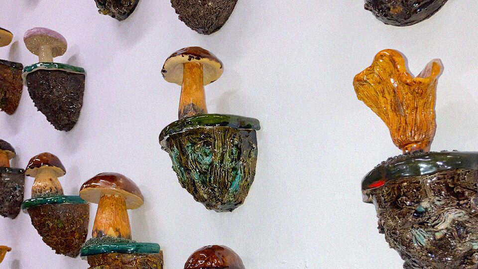 Doma nejlíp! / 2022 / autorská kniha / 420 × 4900 mm / foto: Marie Nakonečná