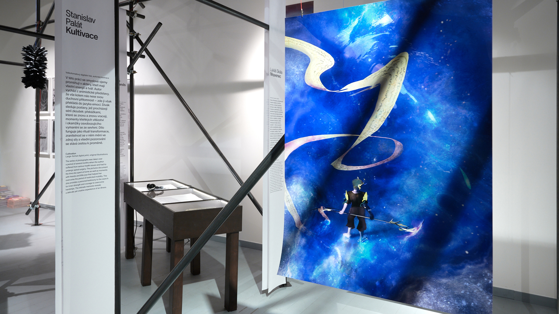 Pohled do výstavy Odvaha studentek a studentů Ateliéru fotografie II Vysoké školy uměleckoprůmyslové v Praze