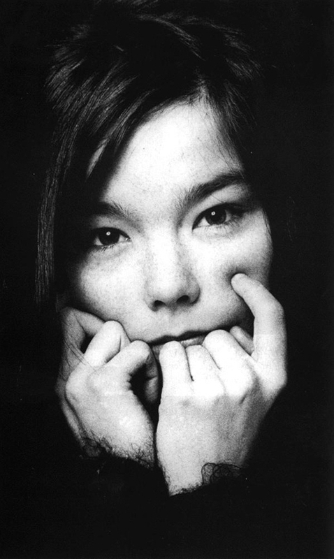 Björk v roce 1993 