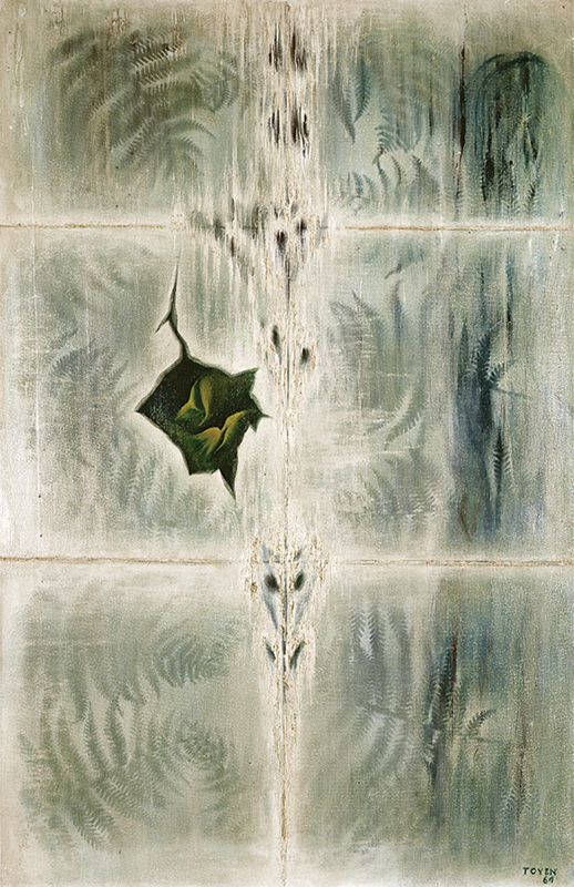 obraz Myslela jsem, že vidím vlaštovku