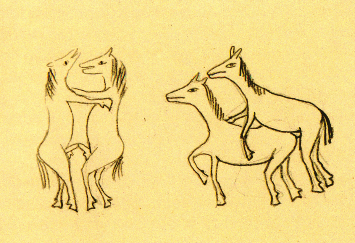 Erotické kresby Toyen