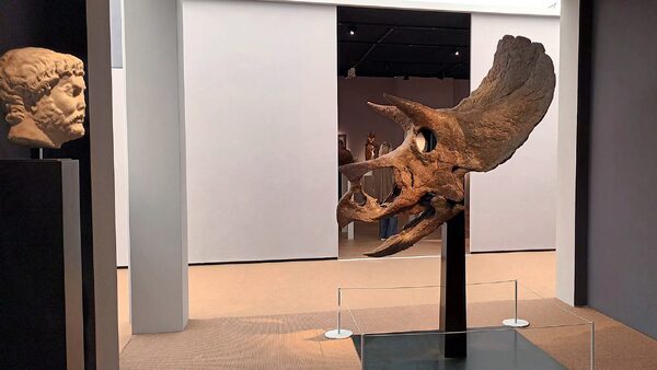 Z veletrhu umění Frieze 2025