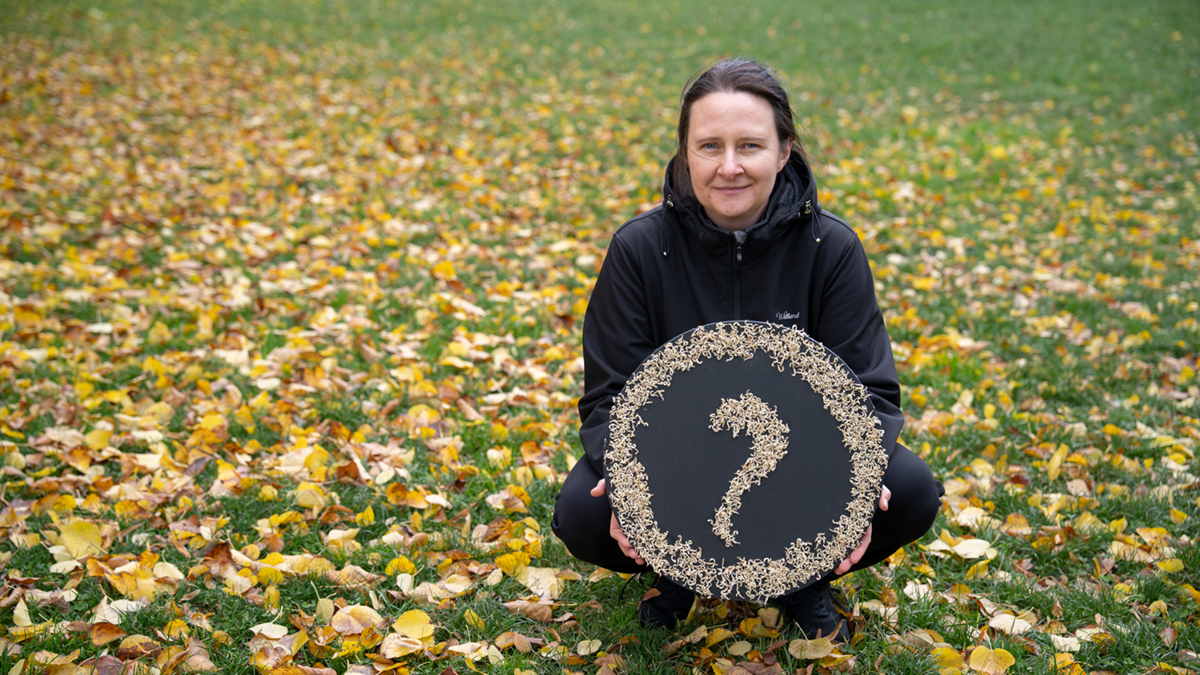 Anna Bolavá alias Anna Bartáková