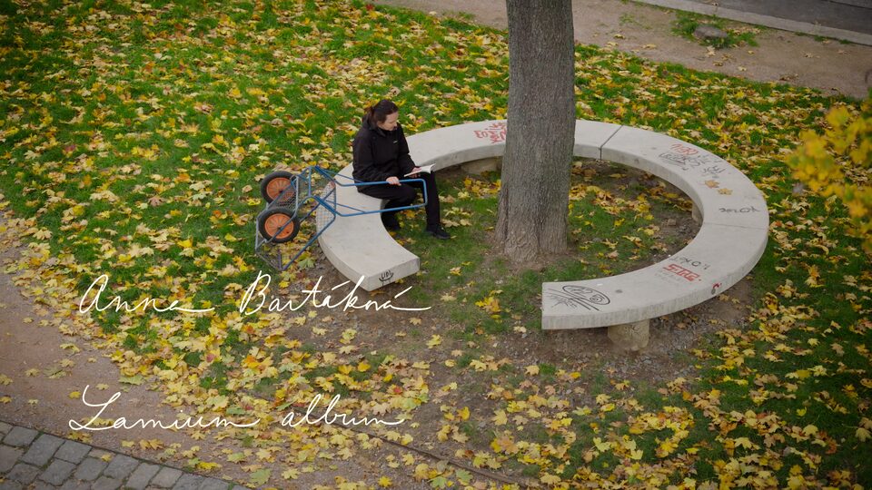 Anna Bartáková alias Anna Bolavá