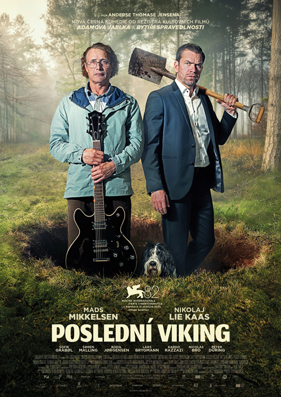 Plakát k filmu Poslední Viking