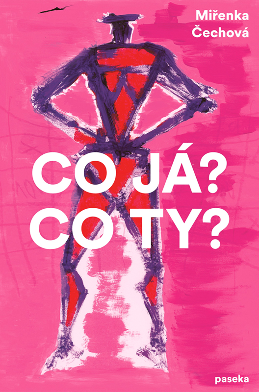 Obálka knihy Co já? Co ty? 