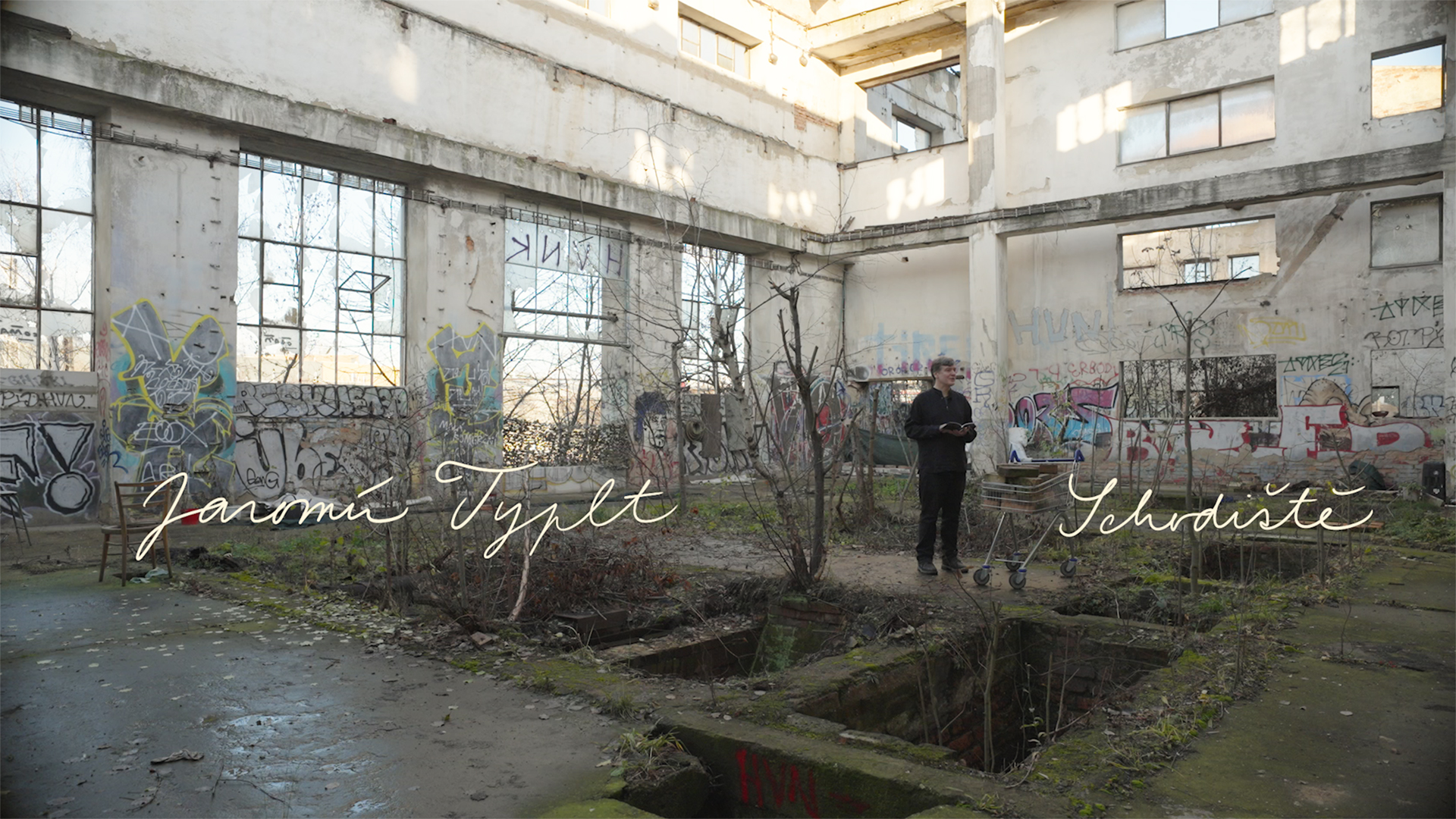 Básník, kurátor a esejista Jaromír Typlt