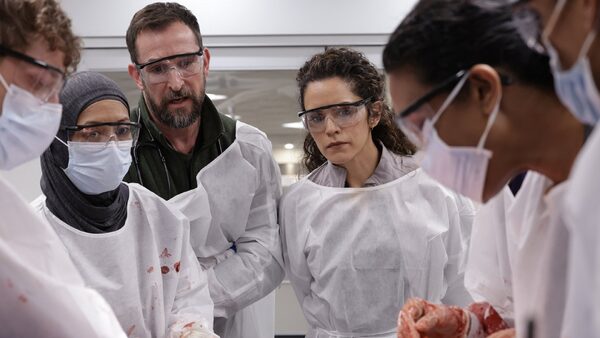 Seriál Urgent (v originále The Pitt)