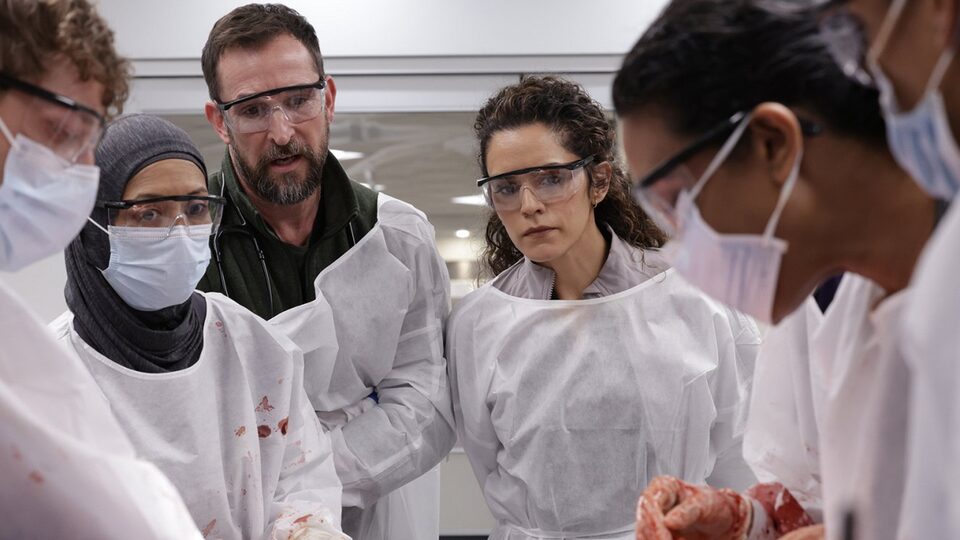 Seriál Urgent (v originále The Pitt)