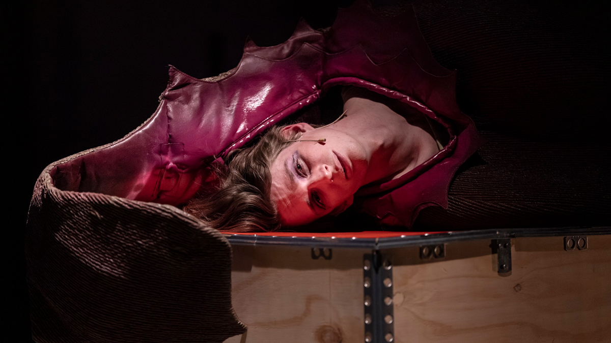 Z&nbsp;inscenace Kniha krve pražského Divadla X10