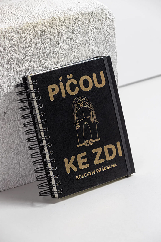 Kniha Píčou ke zdi