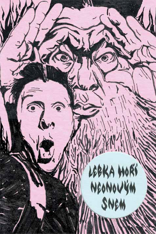 Obálka básnické sbírky Lebka hoří neonovým snem