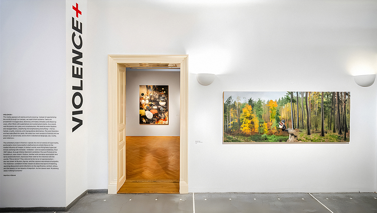 Pohled do výstavy VIOLENCE+ v pražské Ville Pellé
