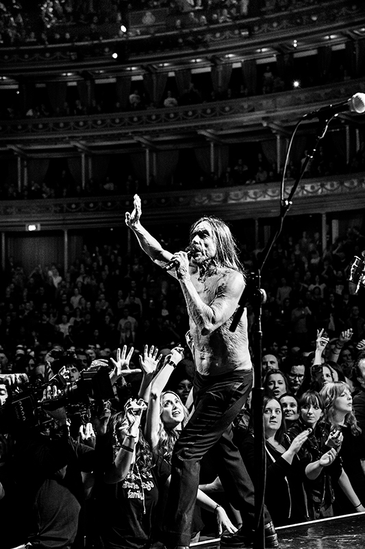 Iggy Pop na koncertě