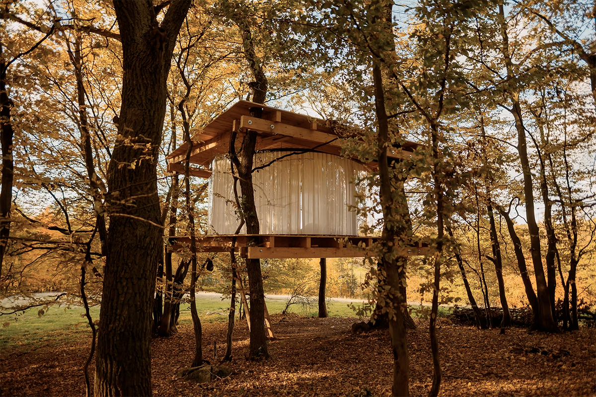 Tree House architekta Jana Tyrpekla, 