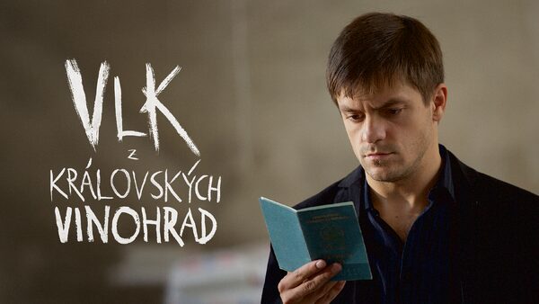 Vlk z Královských Vinohrad