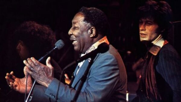 Muddy Waters: Live in Chicago