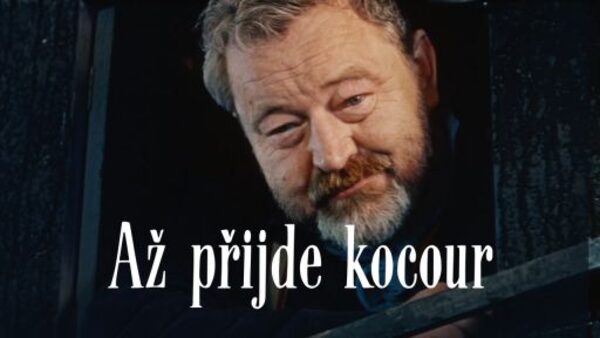 Až přijde kocour