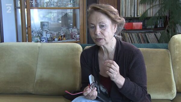 Čtenářský deník